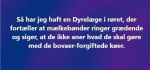 Bovaer Bovaer til køer